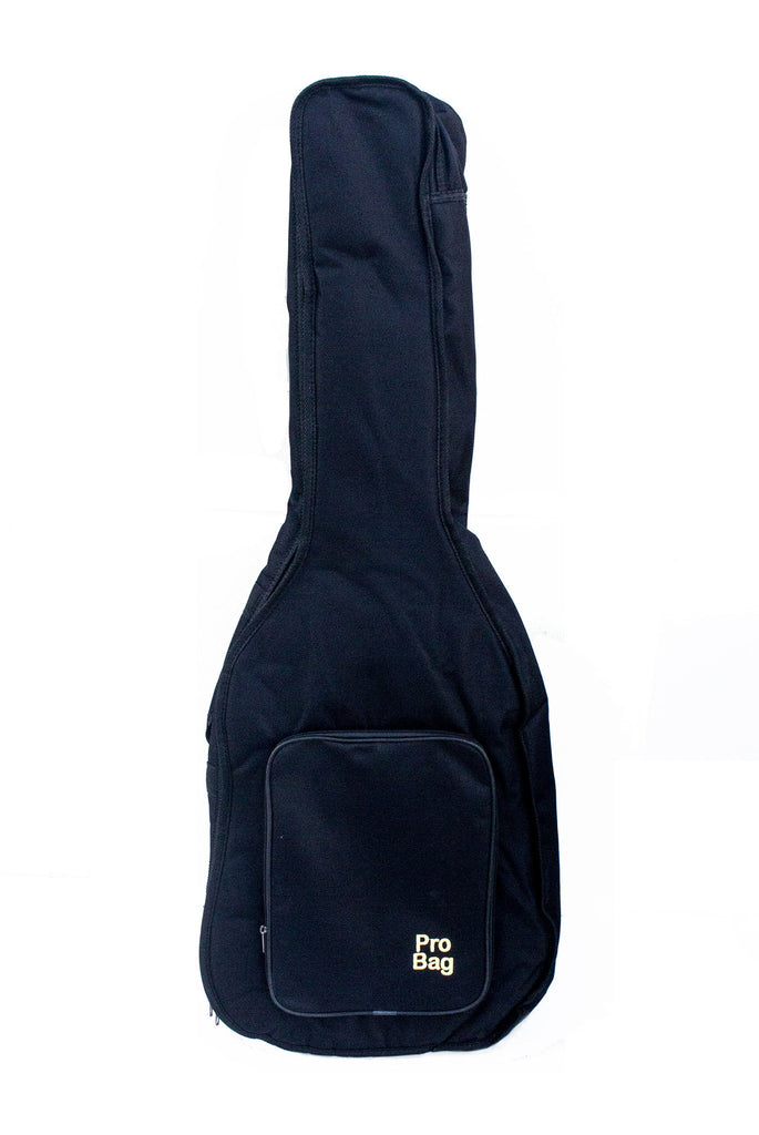 39" Guitar Bag with Padding